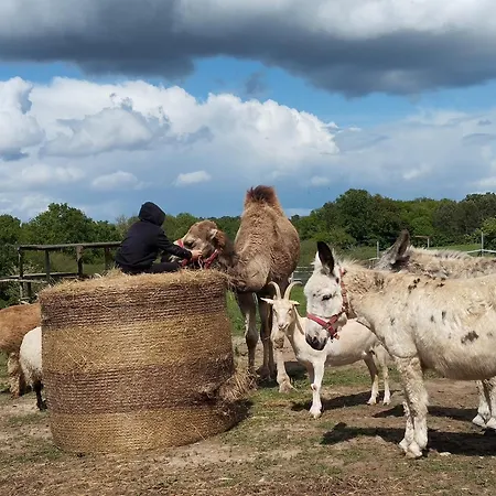 Panzió La Prevote Périssac