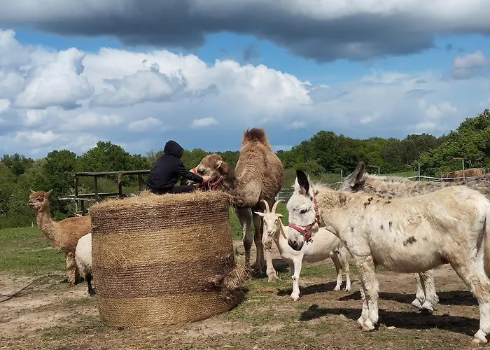 Bed & Breakfast La Prevote Périssac