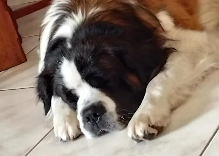 La Prevote Bed & Breakfast